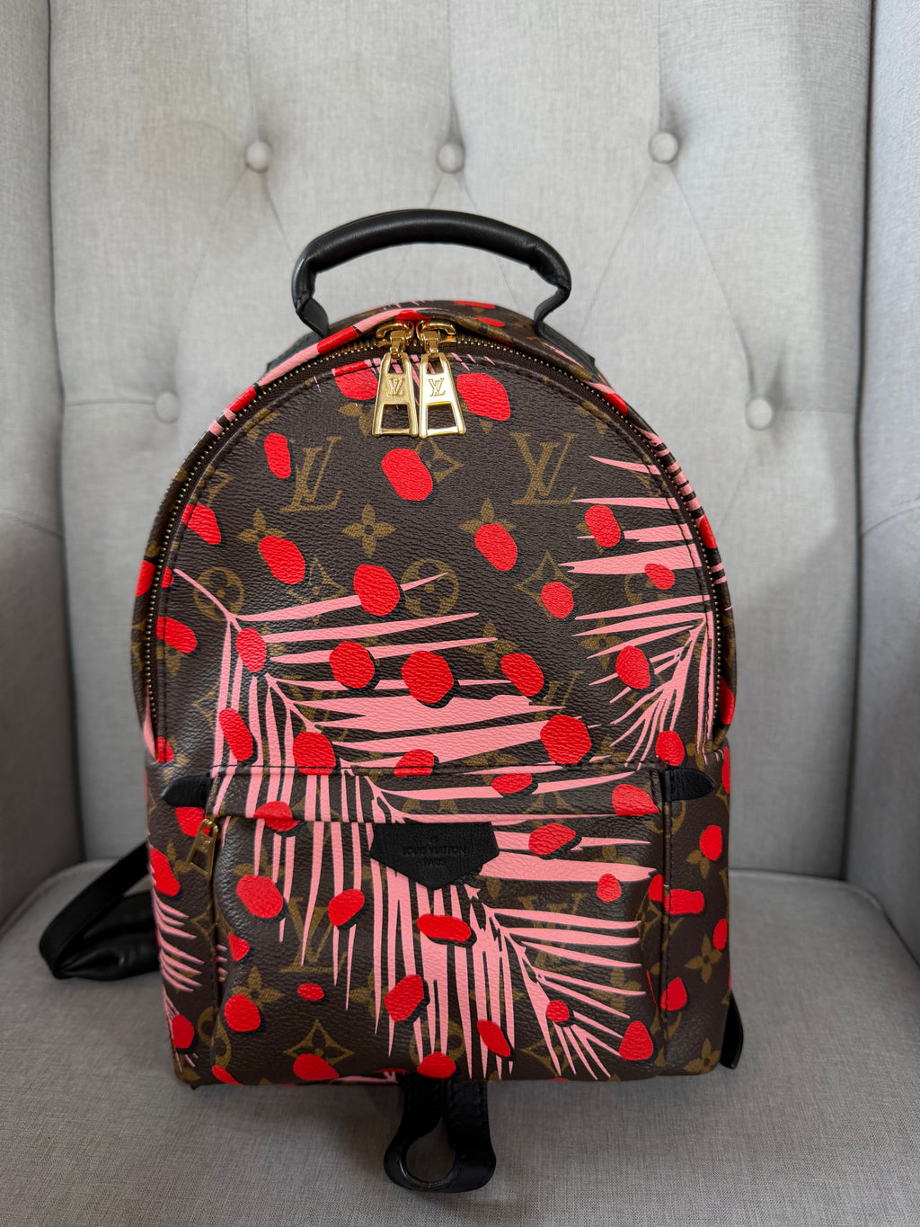 Louis Vuitton Palm Springs Jungle Dots Backpack – Pre-Loved