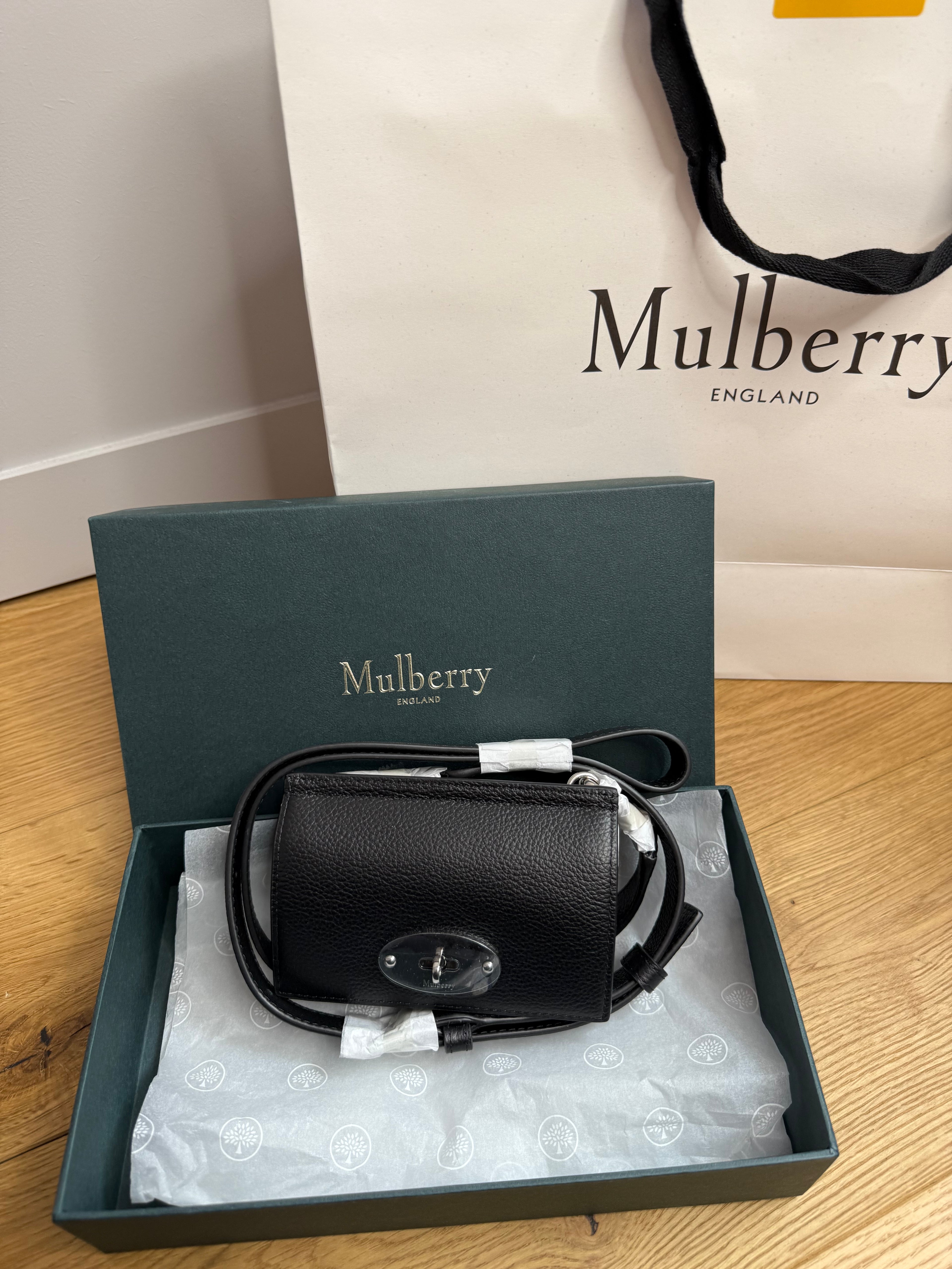 New Mulberry East West Anthony Mini Pouch Bag