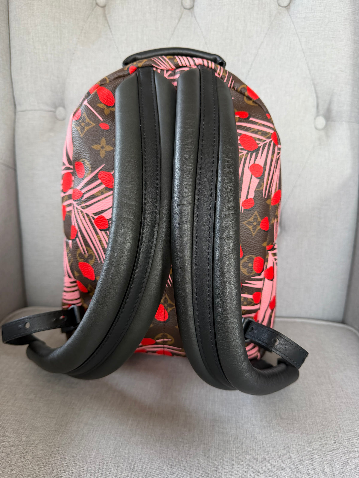 Louis Vuitton Palm Springs Jungle Dots Backpack – Pre-Loved