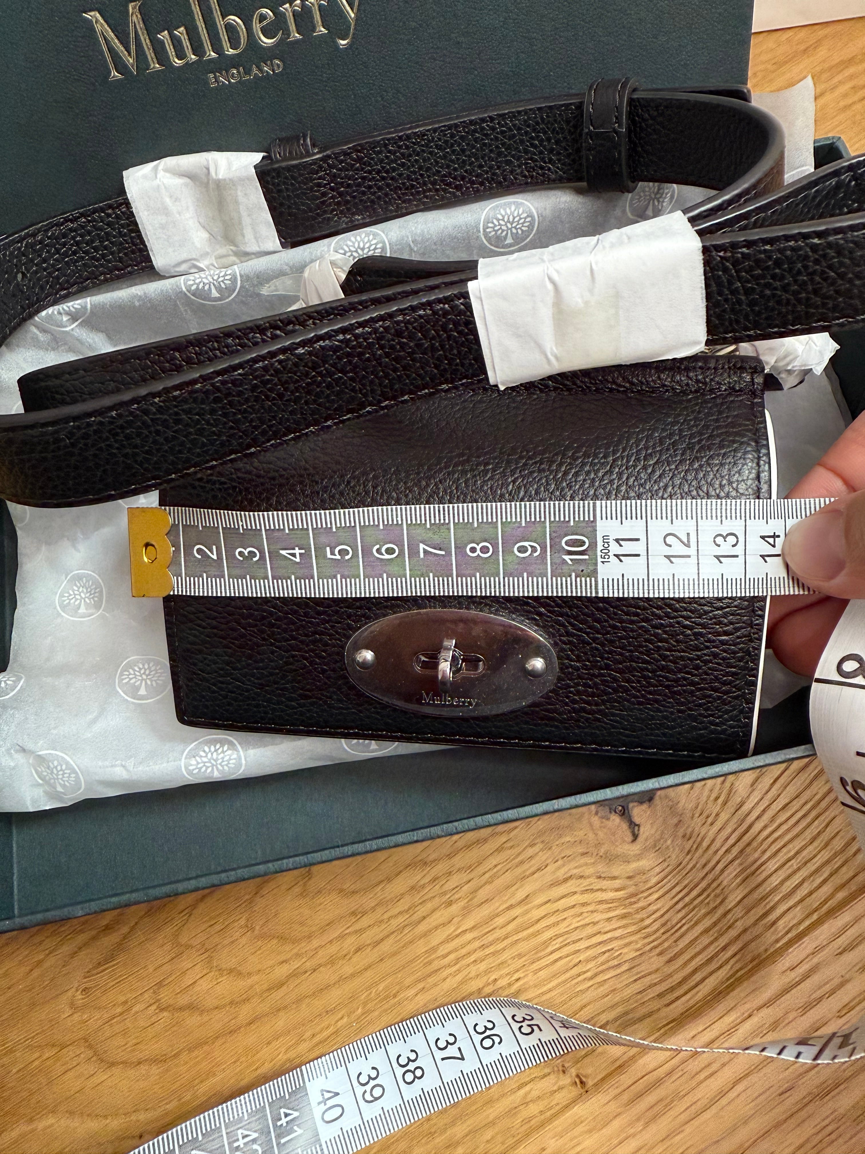 New Mulberry East West Anthony Mini Pouch Bag