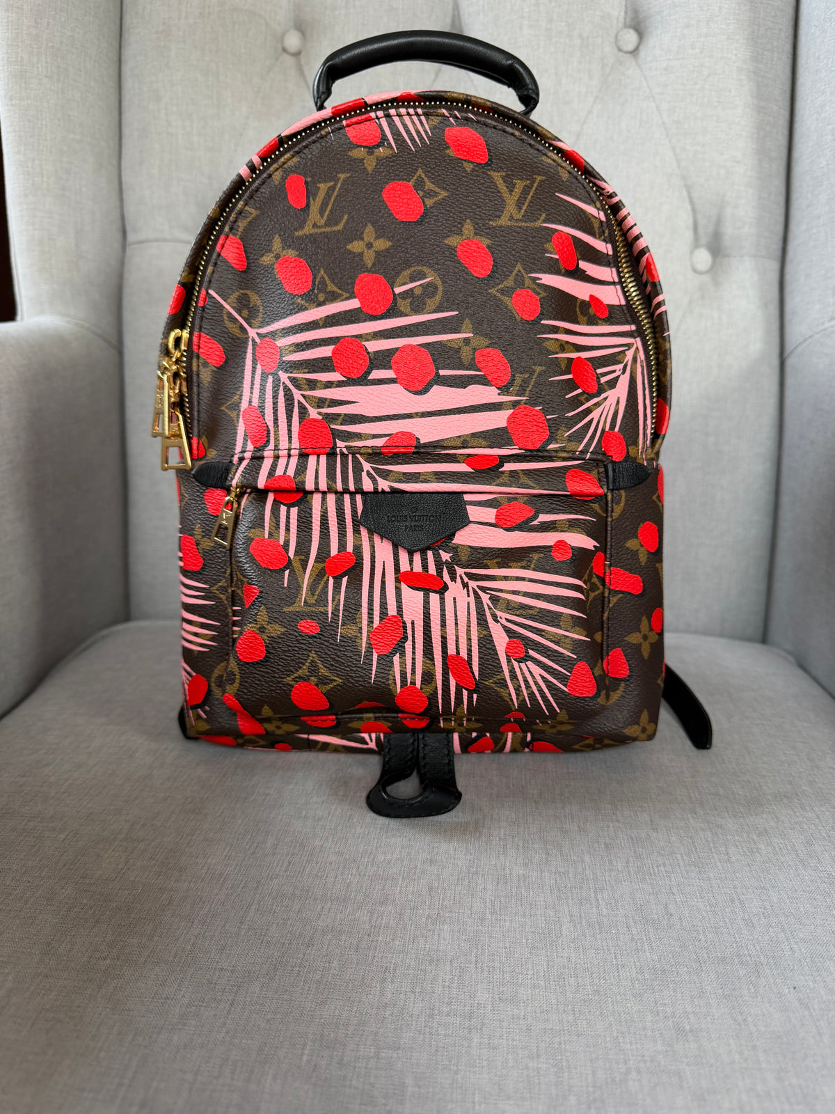 Louis Vuitton Palm Springs Jungle Dots Backpack – Pre-Loved