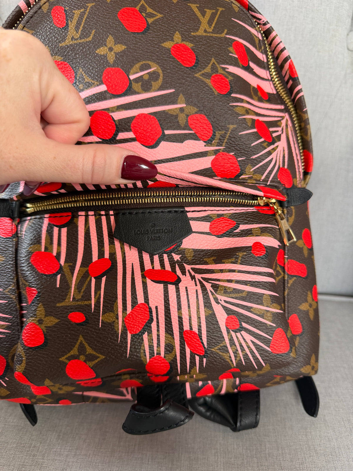 Louis Vuitton Palm Springs Jungle Dots Backpack – Pre-Loved