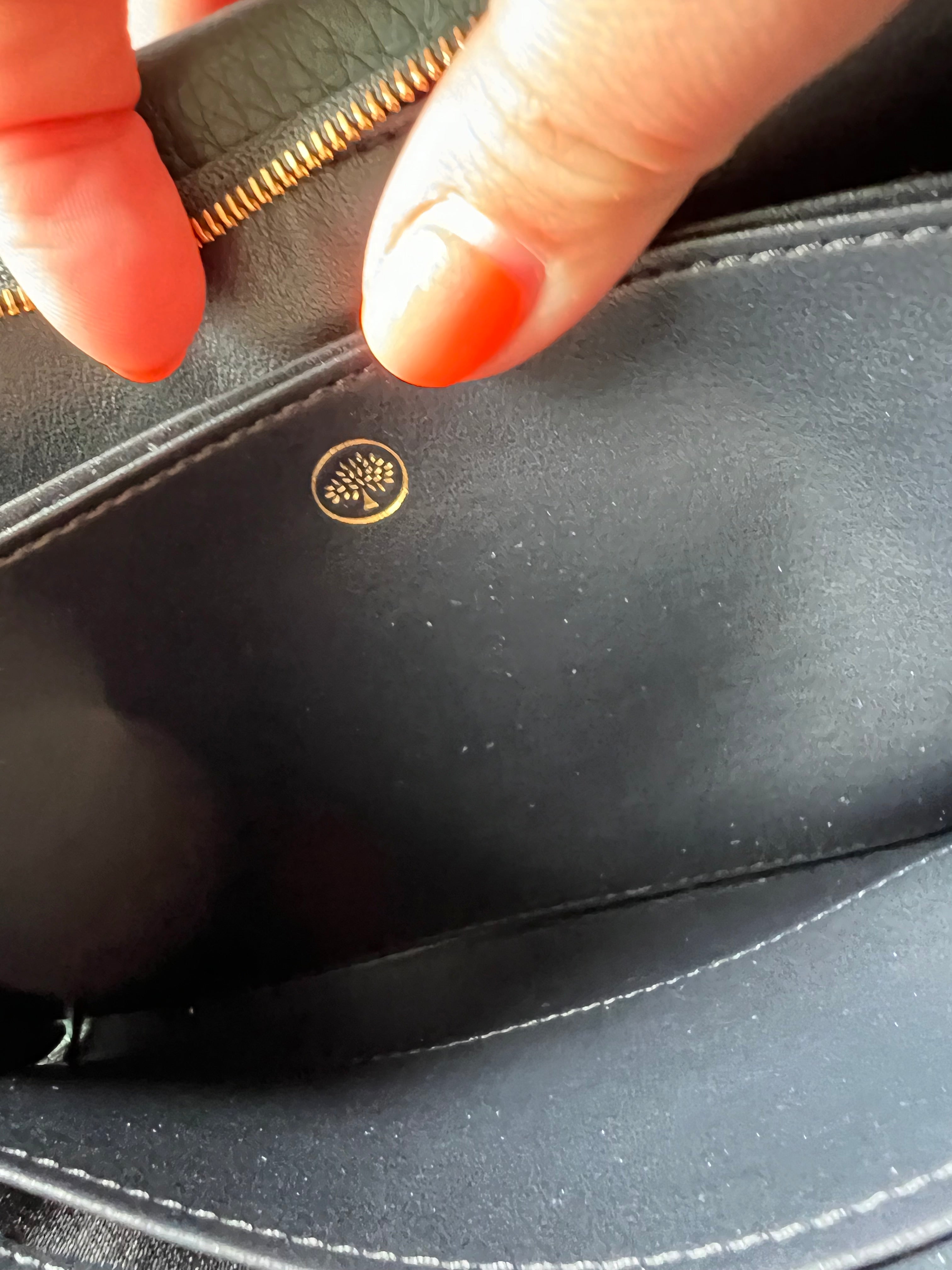 New Mulberry Iris Wallet On Chain Bag In Mulberry Green with Matching Zip Pull