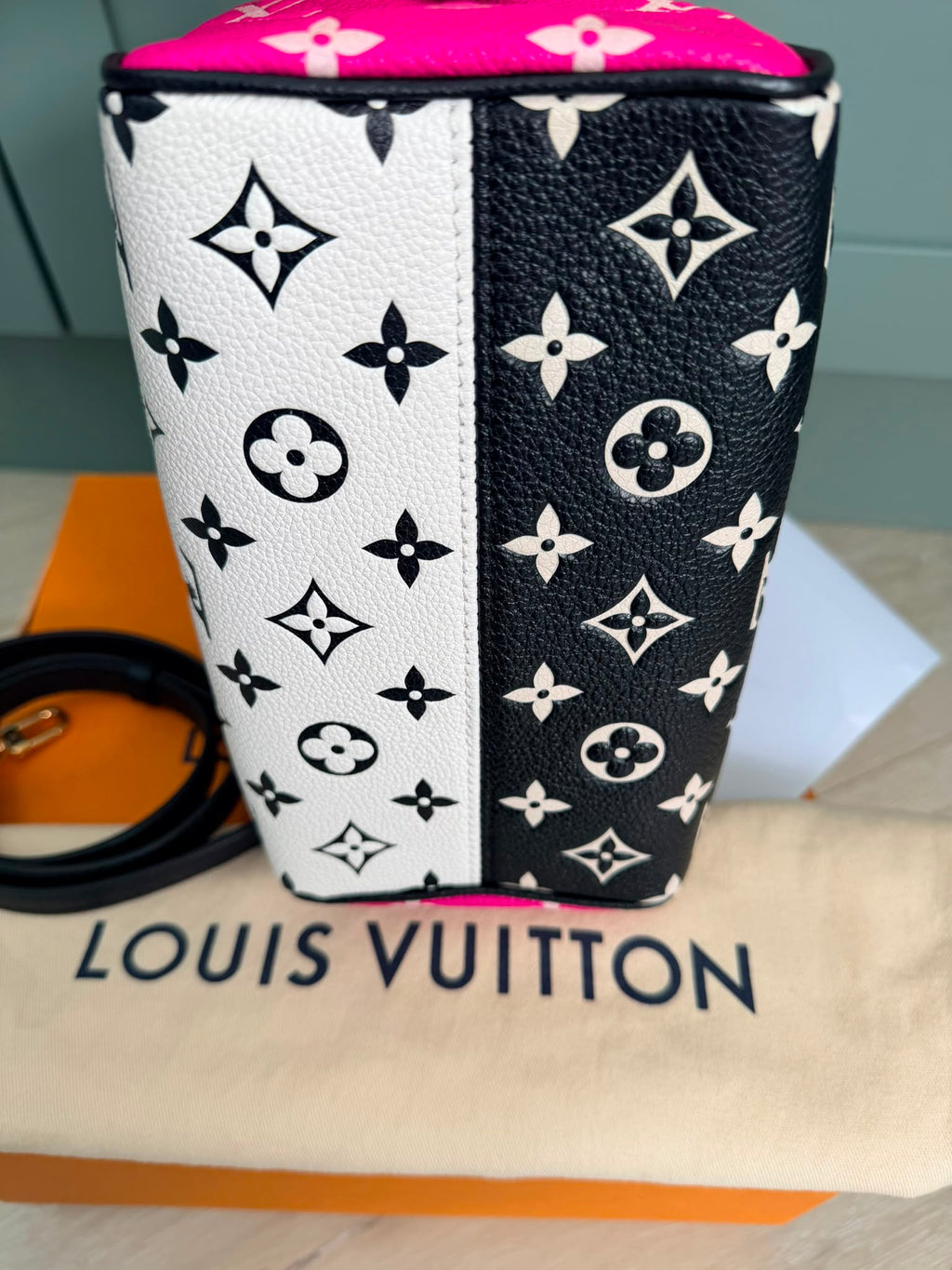 Pre owned Louis Vuitton Ltd edition speedy 20 empreinte leather black and white