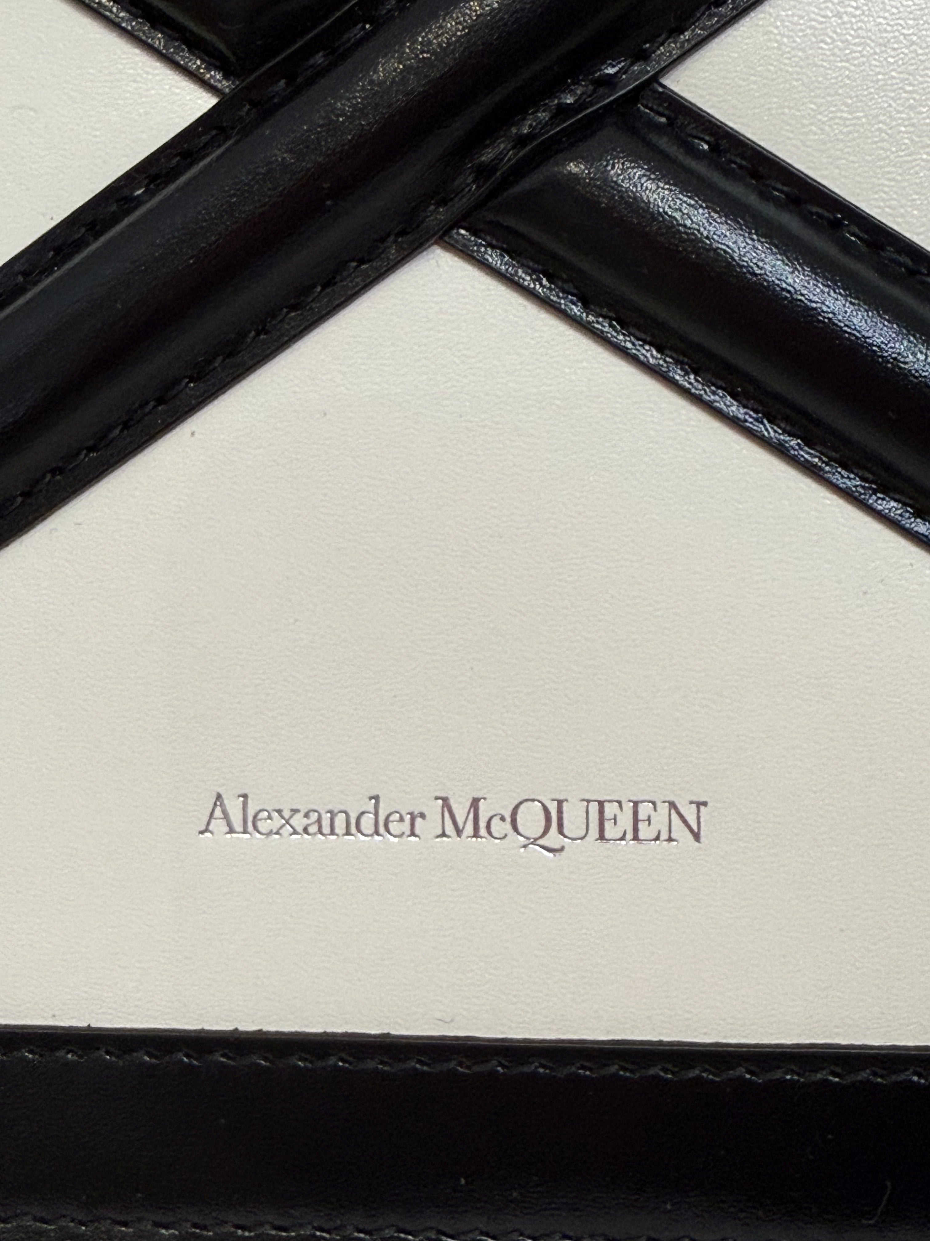 Alexander McQueen The Curve Micro Crossbody Phone Pouch Bag