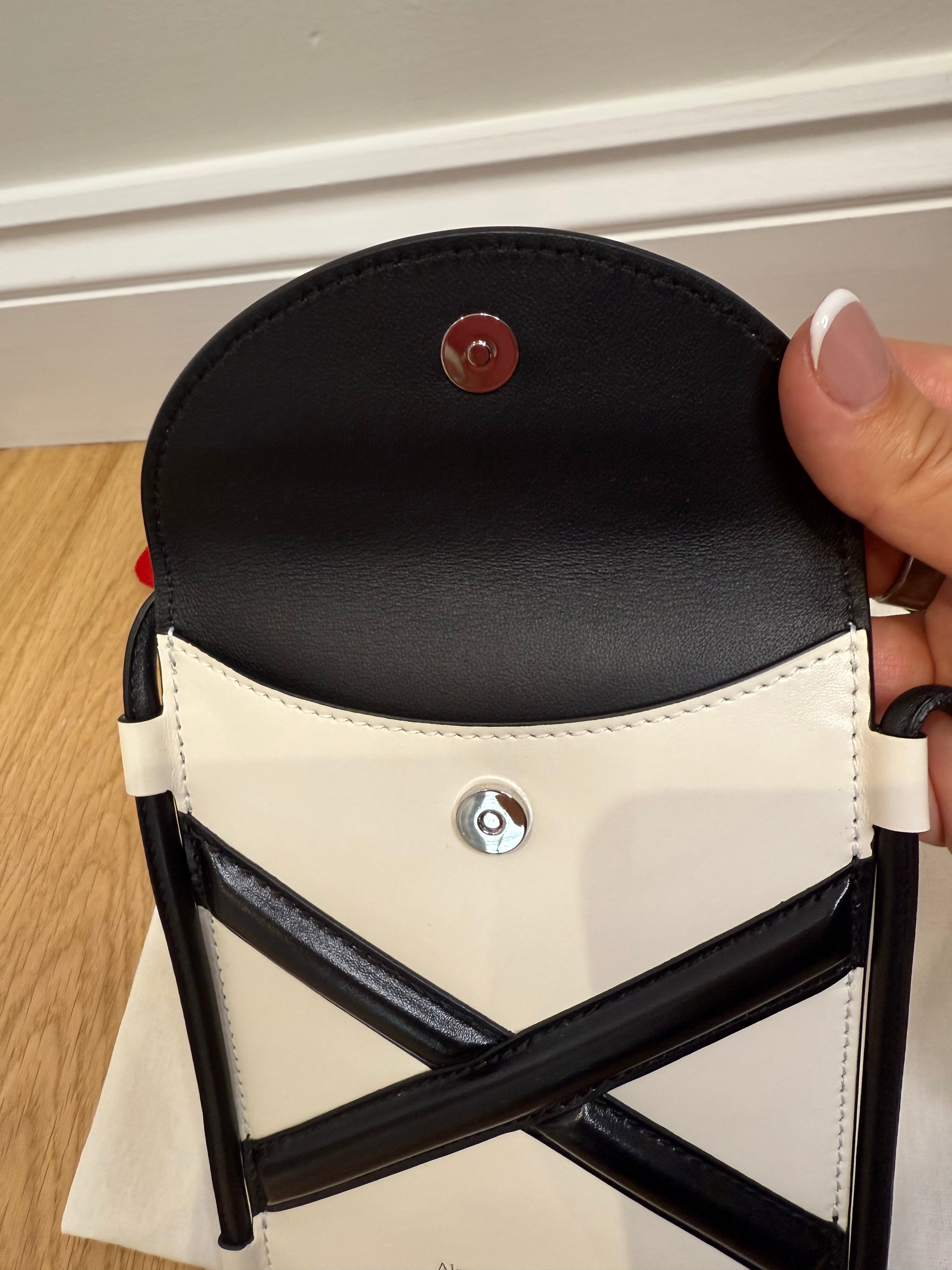 Alexander McQueen The Curve Micro Crossbody Phone Pouch Bag